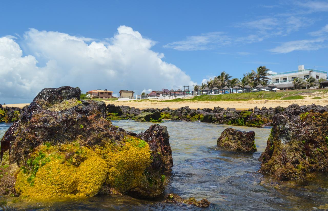 Praia Das Tartarugas 塔巴廷加 外观 照片
